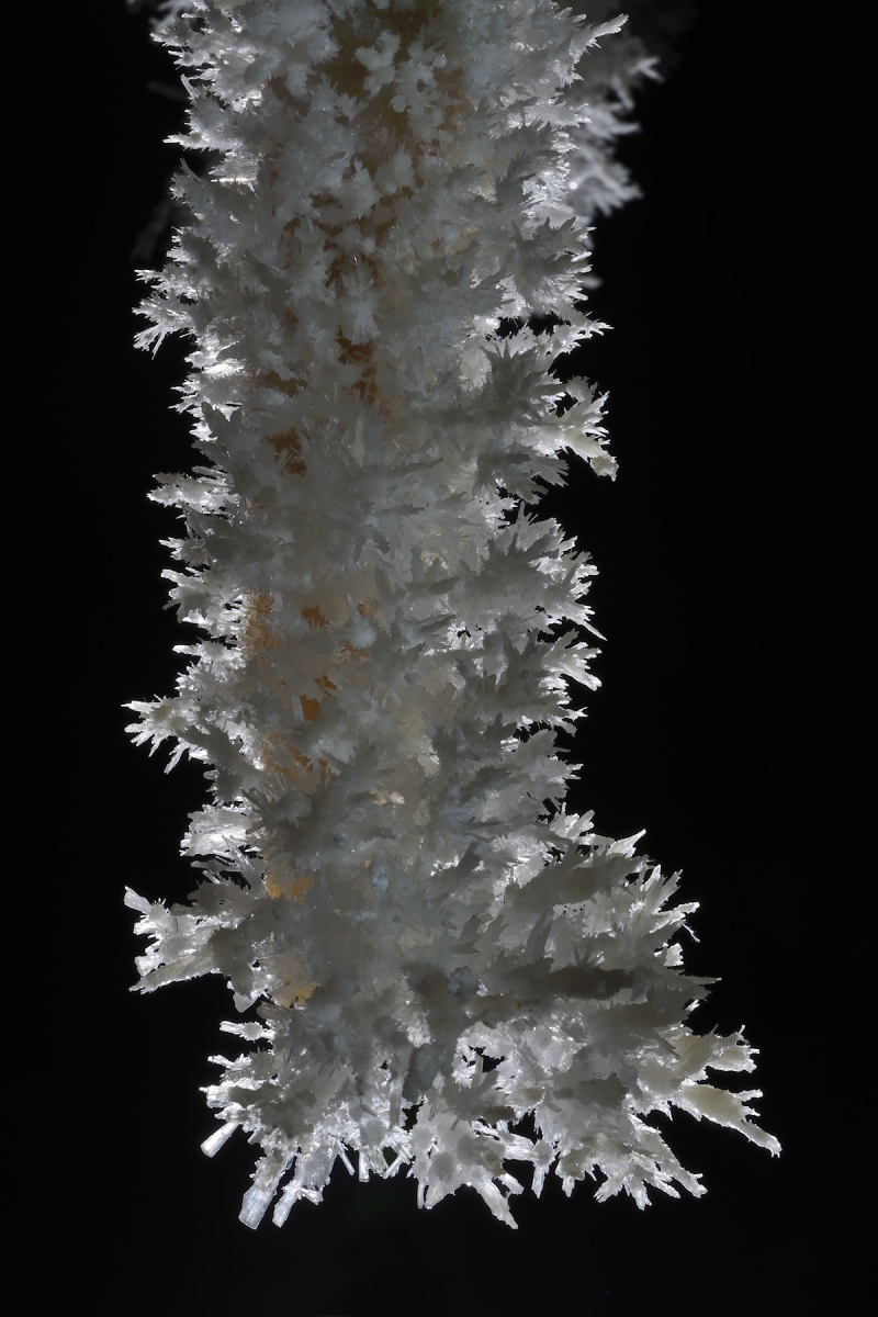 Cavité de l'Aude - Détail stalactite avec aragonites